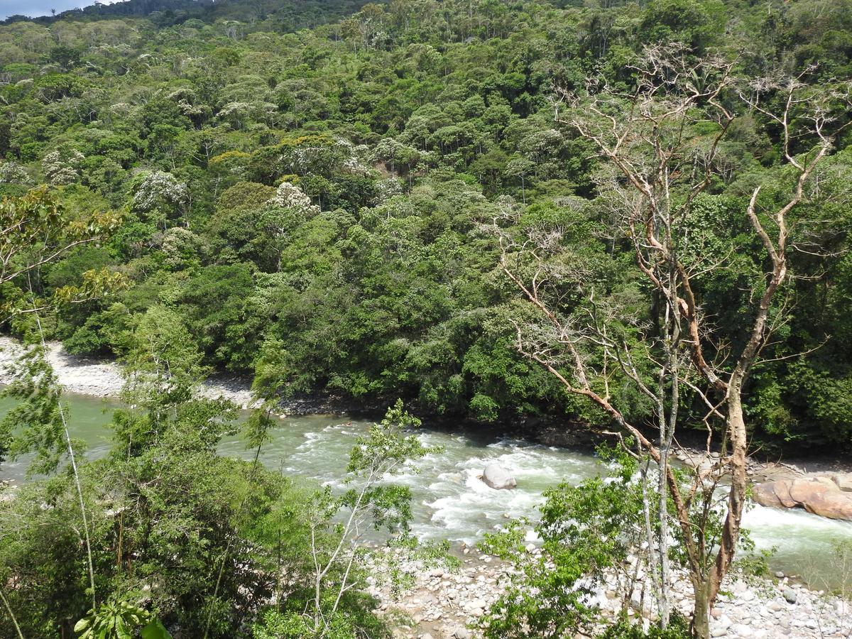 Posada Turistica Dantayaco Mocoa Exteriör bild